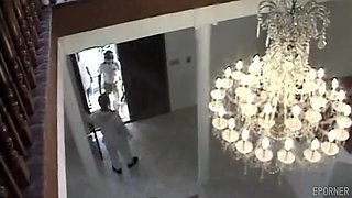 Dalny Marga's Wild Toy Passion Ignites with Sultry Heat