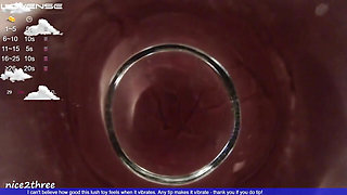 Fat Glass Dildo Inside View