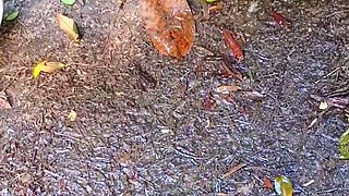 Blonde Amateur Takes Facial Outdoors In Public