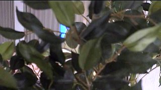 Hot Asian blak haired babe masturbation video