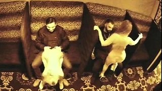 Strippers dance in the semi private room
