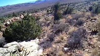 Amateur teen outdoor sex