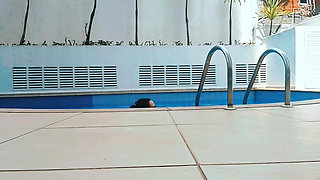 Relaxation by the Pool at Home