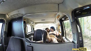 Gentle puss's outdoor video