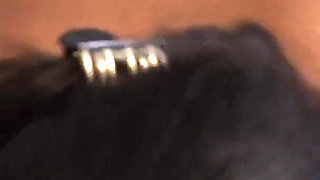 Auntjudys - Your Busty BBW Landlady Cassy Hill Lets You Fuck Her Big Hairy Pussy POV