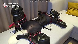 K9 teasing, lying orgasm: Hardcore, Fetish  Bondage Porn