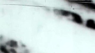Vintage porn retro erotic theatre - classic threesome affair