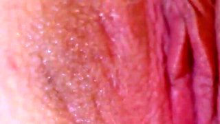 Xtreme Close Ups