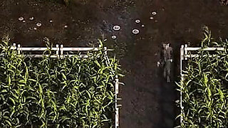 The Genesis Order V51113 Part 135 Kinky Babes by Loveskysan69