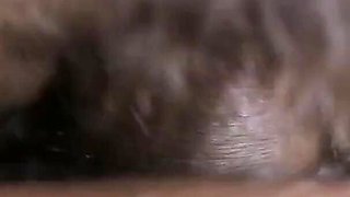 Indian wife wet pussy fuck