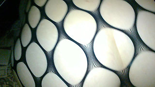 Hard Anal Doggy Fuck