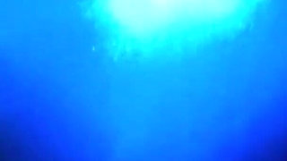 Shiny Cameltoe Tease, Hard Spanking, Deep Blowjobs & Rough Doggy with Double Cumshot 302