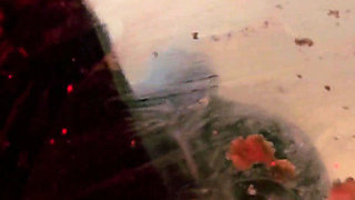 Monika Schmidt Burger Crushing Giantess Spitting Boot Worship