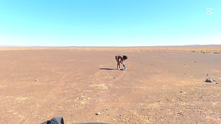 Sexcation Part 3 - Washing in the Dessert