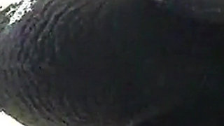 Sloppy Blowjob