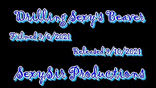 Drilling Sexy Sandra's Beaver