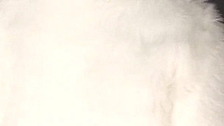 Hard CBT and Ballbusting Compilation