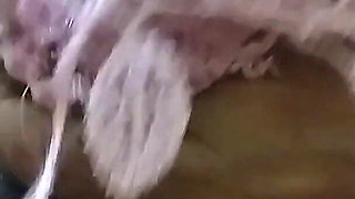 Sexy. Bhabi Enjoys Her Wall Ka Sath Sex, Kiya Chod Kar Ka