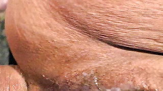 Sexy anal with Wife