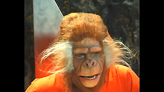 I Get the Super Ball