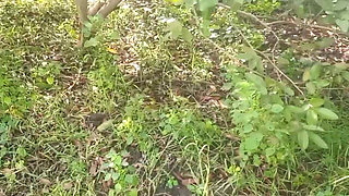 Desi Friend's Wife Holding and Squeezing Breasts in Guava Plantation