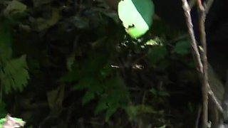 Iranian MILF Risky Outdoor Sex in Tehran