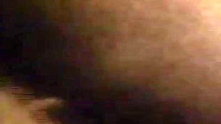 The Gozona Pig Gets Milk