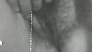 Black And White Vintage Video Of Lady Sucking Her Lover With Vintage Lady
