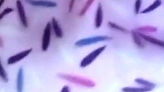 Actress Anne Musterbating in Bed with Big Shaggy Boobs and Wet Pussy