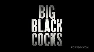 American Temptation: Addison V Surrenders To 2 Spanish Gods