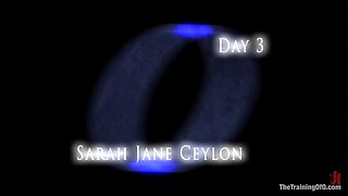 The Training Of Sarah Jane Ceylon, Day Three - Kink