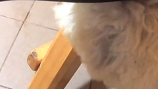 Milfycalla Compilation - Fetish Sex, Blow-jobs and Rough Sex While Wearing Sexy Fur Coats - 5