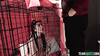 Mystery Celestina Blooms at teen (18+) trailer