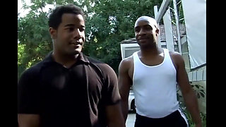 Ebony and two blacks