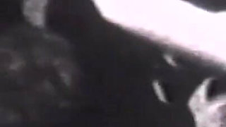 Bettie Page Showgirl Vintage Discovered (full Movie)