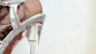 Nylon and Clear Heels