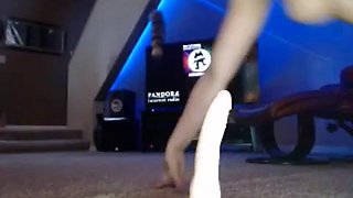 Avaraeh - Leg Warers