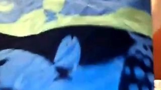 Big-Titted BBW Amateur's Hairy Webcam Show