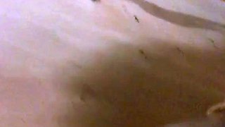 Korean Amateur Sucks Cock in Bathroom Gloryhole