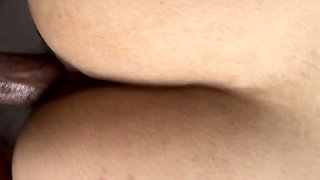 Straightbait amateur on bus fucking ass doggystyle
