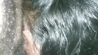 Asian Mommy and Daddy Heard From You with Voice