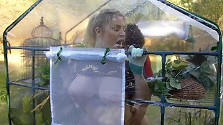 Cum In My Greenhouse Hot MILF Porn Story