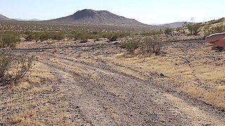 Desert Blowjob