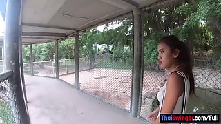 Crocodiles Munching And Thai Gf Cumming With Cherry Lee