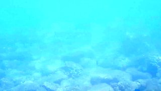 Amateur Outdoor Brunette Masturbates