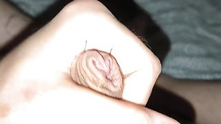 Cock absolutely needs cunt