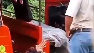 Mexican girl gets Creampie in golf cart