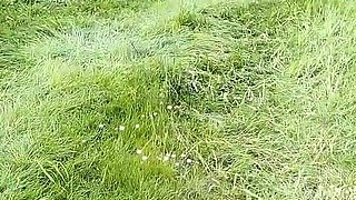 Step Sister Ass Fucked After Trekking by Her Super Endowed Step Brother