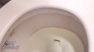 Drink My Piss From the Toilet Bowl