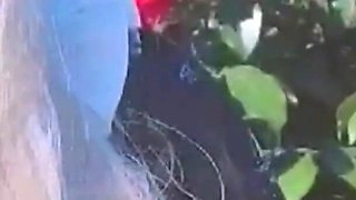 What Types of Flowers Do You Particularly Like?